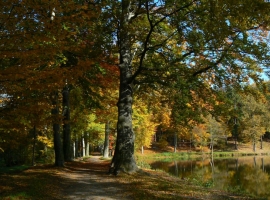 Les-podzim-park.jpg