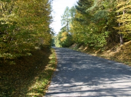 Les-podzim-silnice.jpg